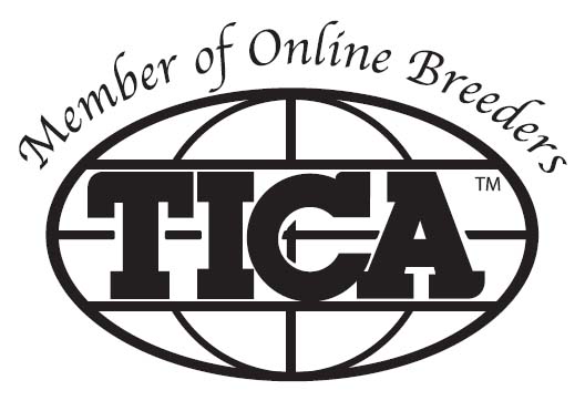 TICA logo, TICA member, TICA online breeders, TICA kitten