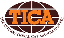 TICA member, TICA logo, TICA Bengal Cat, TICA Bengal Kitten